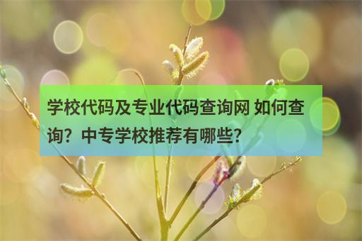 学校代码及专业代码查询网 如何查询？中专学校推荐有哪些？-1