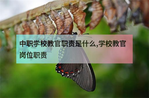 教練：負(fù)責(zé)領(lǐng)導(dǎo)和指導(dǎo)球隊(duì)，并制定比賽策略。