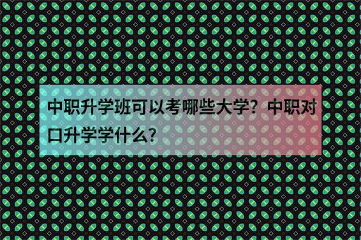 中職升學班可以考哪些大學？中職對口升學學什么？-3