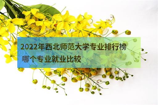 2022年西北师范大学专业排行榜 哪个专业就业比较-2