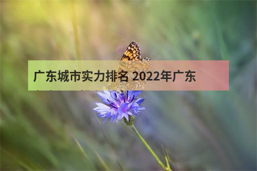 广东城市实力排名 2022年广东各市gdp排名-1