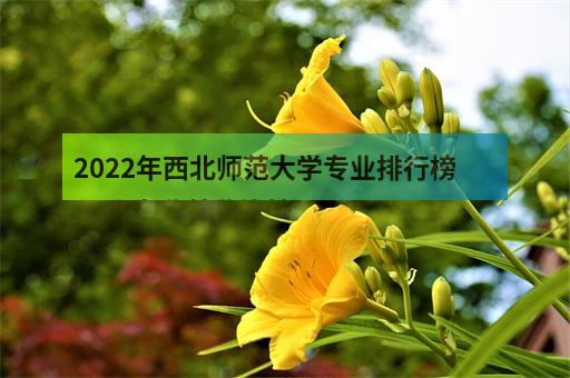 2022年西北师范大学专业排行榜 哪个专业就业比较-1