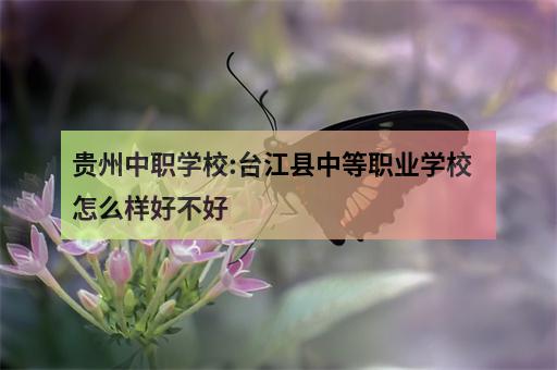 贵州中职学校:台江县中等职业学校怎么样好不好-2