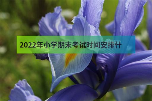 2022年小学期末考试时间安排什么时候考试-1