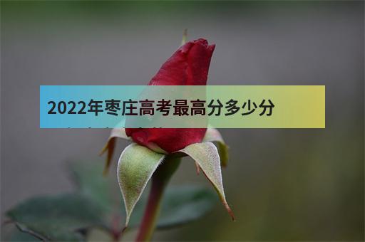 2022年枣庄高考最高分多少分 历年枣庄高考状元-3