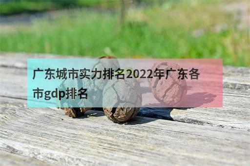 广东城市实力排名2022年广东各市gdp排名-1