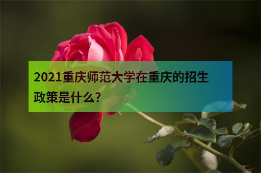 2021重庆公费师范生大学有哪些？毕业后一般到哪些学校？