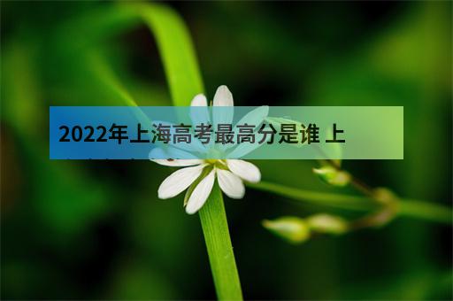 2022年上海高考最高分是谁 上海今年高考状元是谁-2