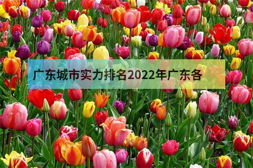 广东城市实力排名2022年广东各市gdp排名-2