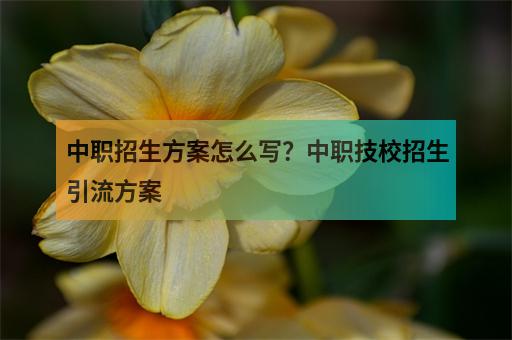 中职招生方案怎么写？中职技校招生引流方案-3