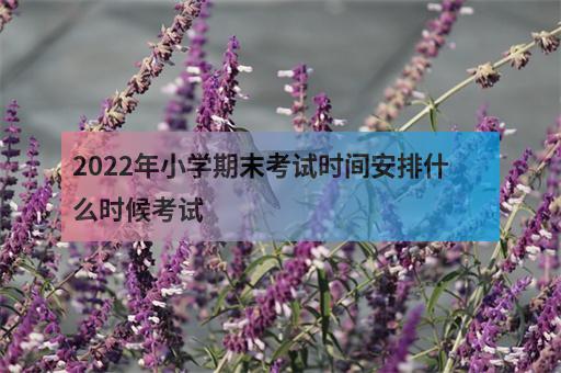 2022年小学期末考试时间安排什么时候考试-3