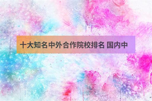 十大知名中外合作院校排名 国内中外合作办学大学排名-2