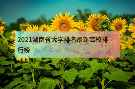 2021湖南省大学排名最新高校排行榜-1