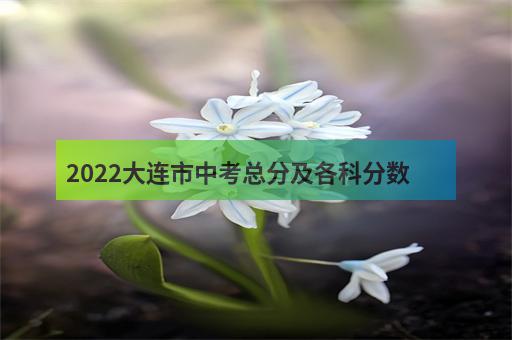 2022大连市中考总分及各科分数-3