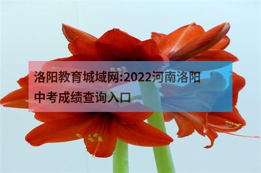 洛阳教育城域网:2022河南洛阳中考成绩查询入口-3