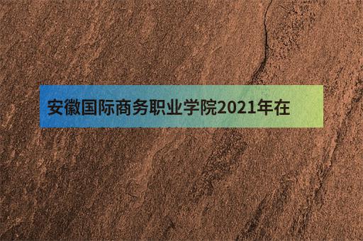 安徽国际商务职业学院2021年在安徽省的招生政策是什么？-1