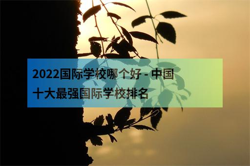 2022國際學校哪個好 - 中國十大最強國際學校排名-2