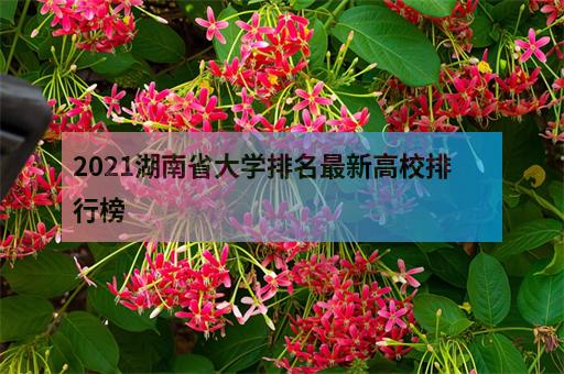 2021湖南省大学排名最新高校排行榜-2