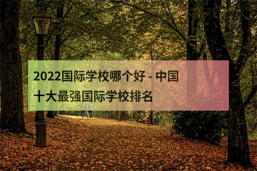 2022國際學校哪個好 - 中國十大最強國際學校排名-3