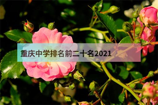 重慶中學排名前二十名2021-1