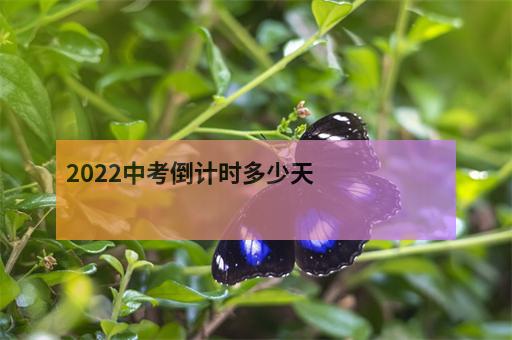 2022中考倒计时多少天-1