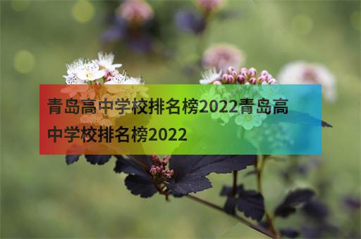 青岛高中学校排名榜2022青岛高中学校排名榜2022-1